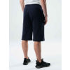 Men's shorts - Loap DEWNY - 3